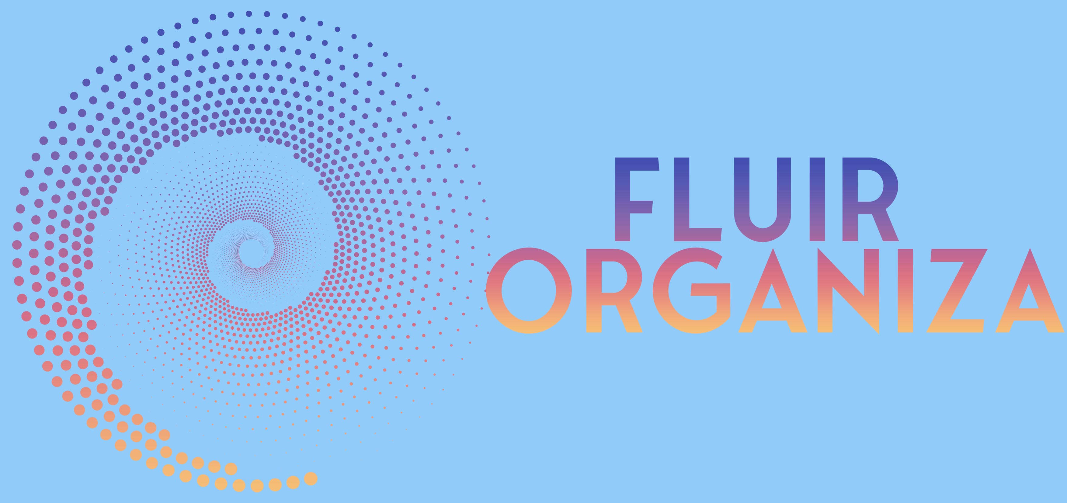 Fluir Organiza